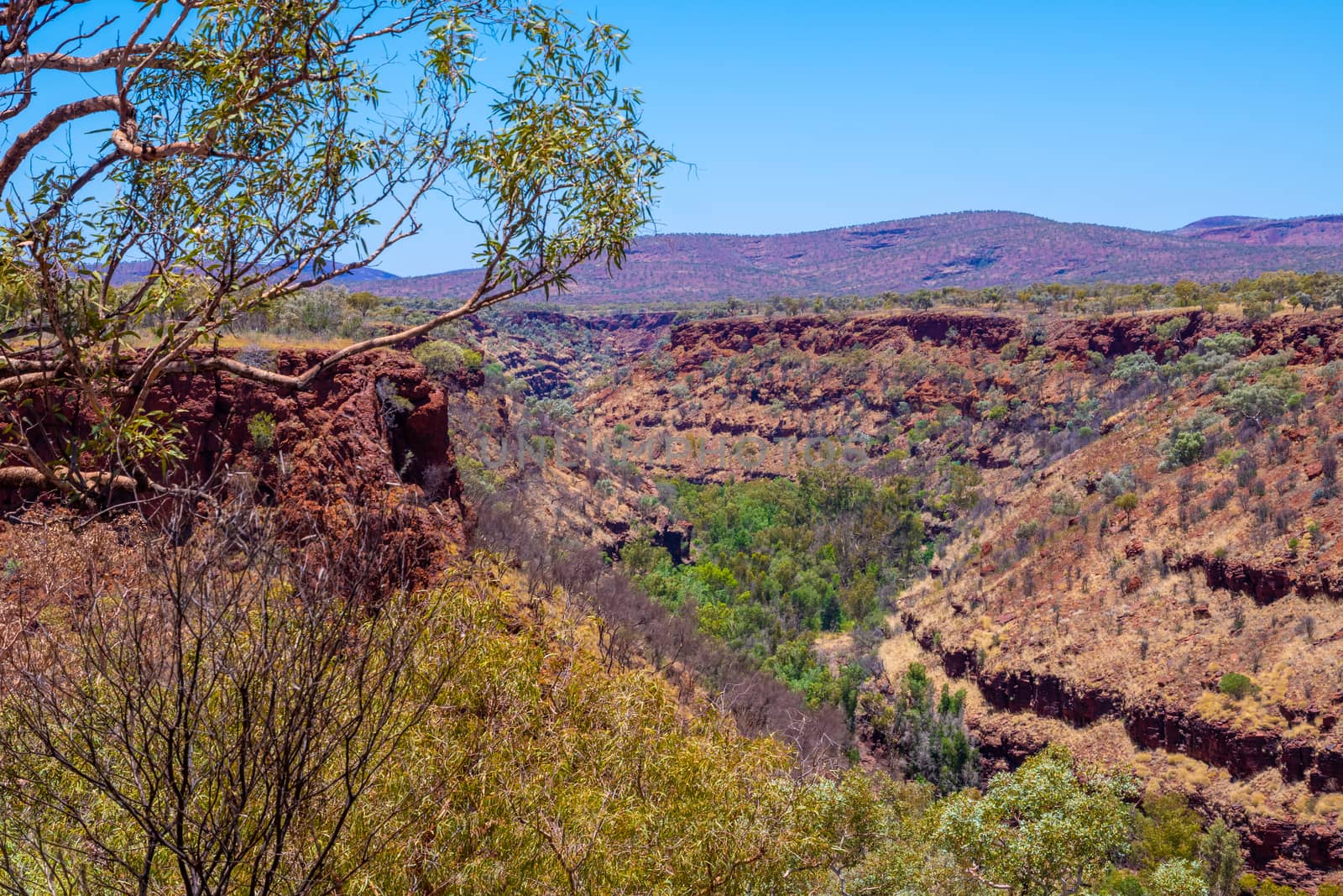 View along Dales Gorge at Karijini National Park Australia