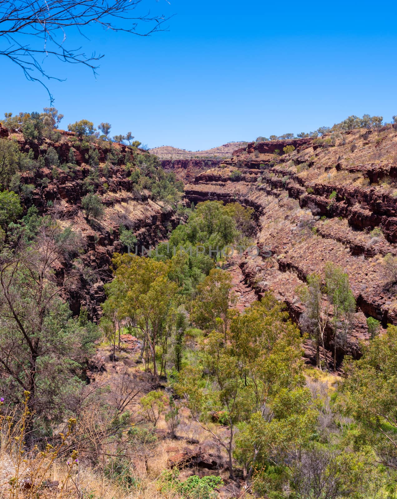 View downwards the Dales Gorge from Fortescue Falls at Karijini National Park Australia