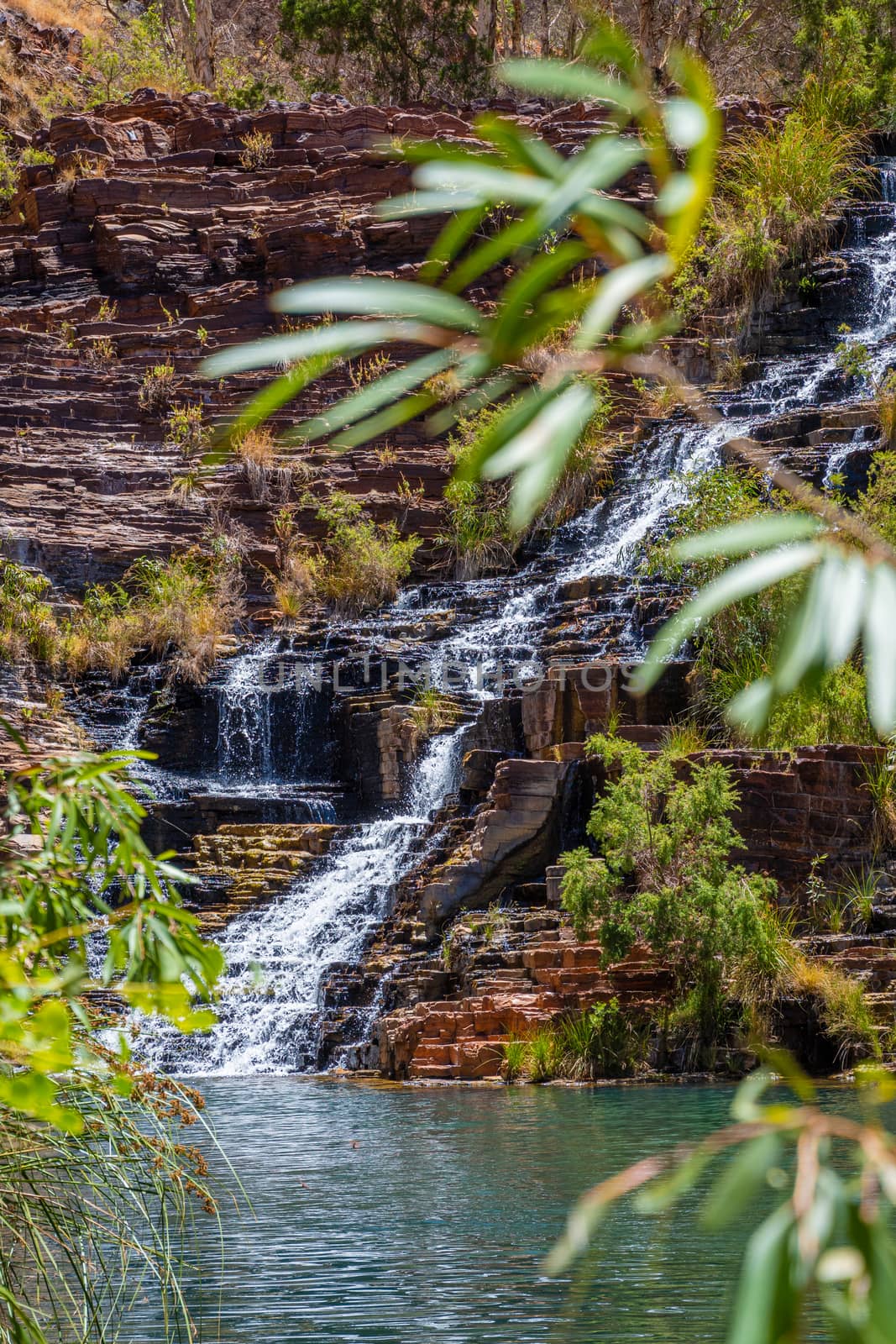 Water rushing over natural steps of sediment rock at Fortescue Falls at the bottom of Dales Gorge Karijini National Park by MXW_Stock