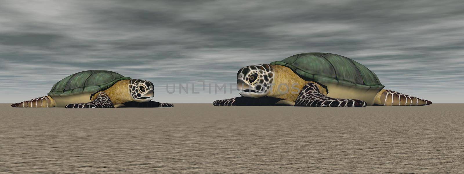 brown turtle in the ocean - 3d rendering by mariephotos