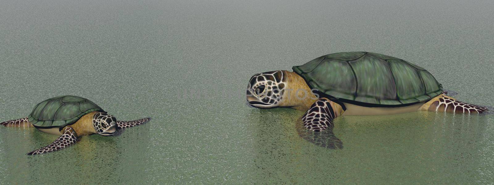 brown turtle in the ocean - 3d rendering by mariephotos