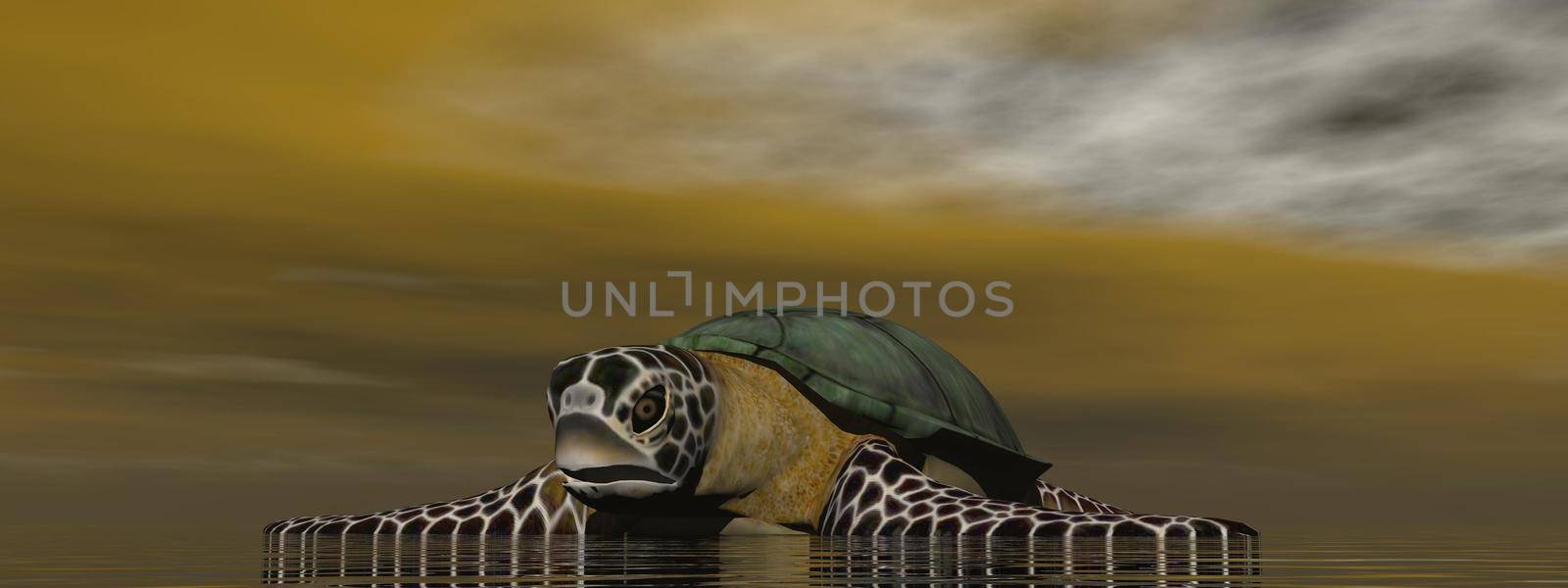 turtle in the ocean - 3d rendering