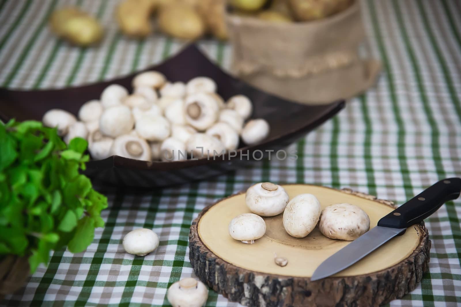 Fresh champignon mushroom vegetable in the kitchen by pairhandmade