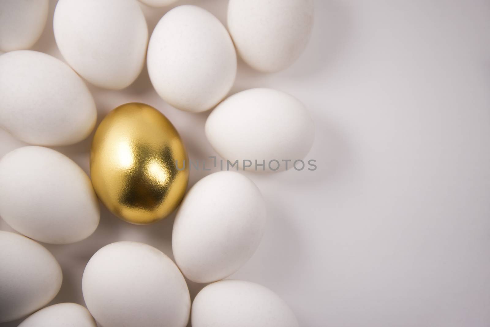 one gold egg lays among common white eggs