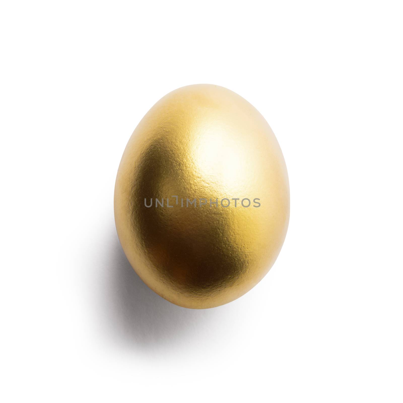 Golden egg on white background. Gold, wealth