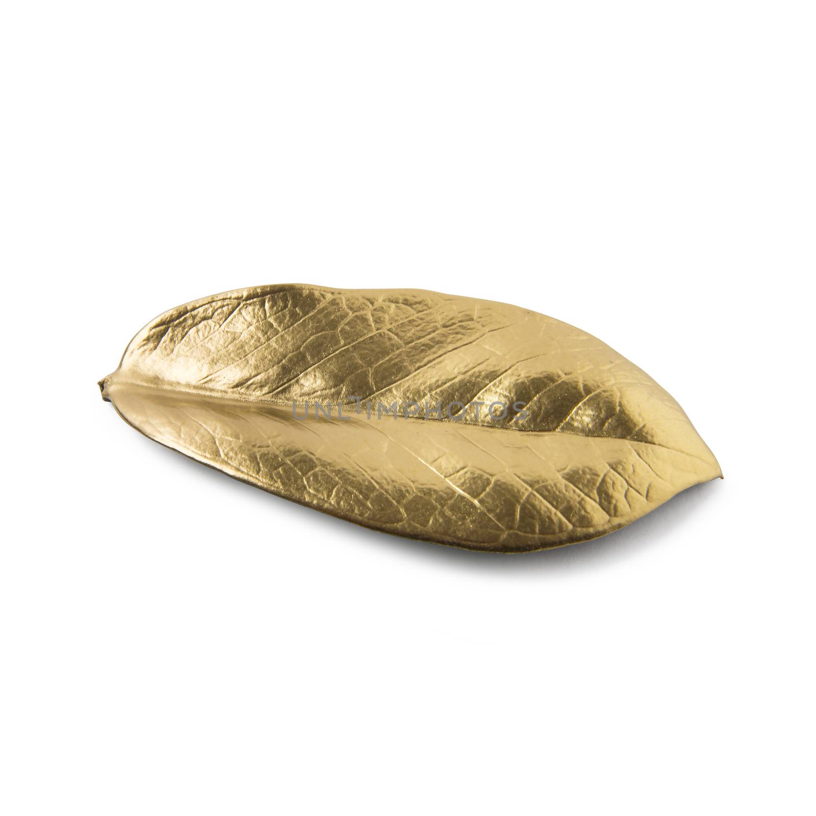 Gold leaf on white background by butenkow