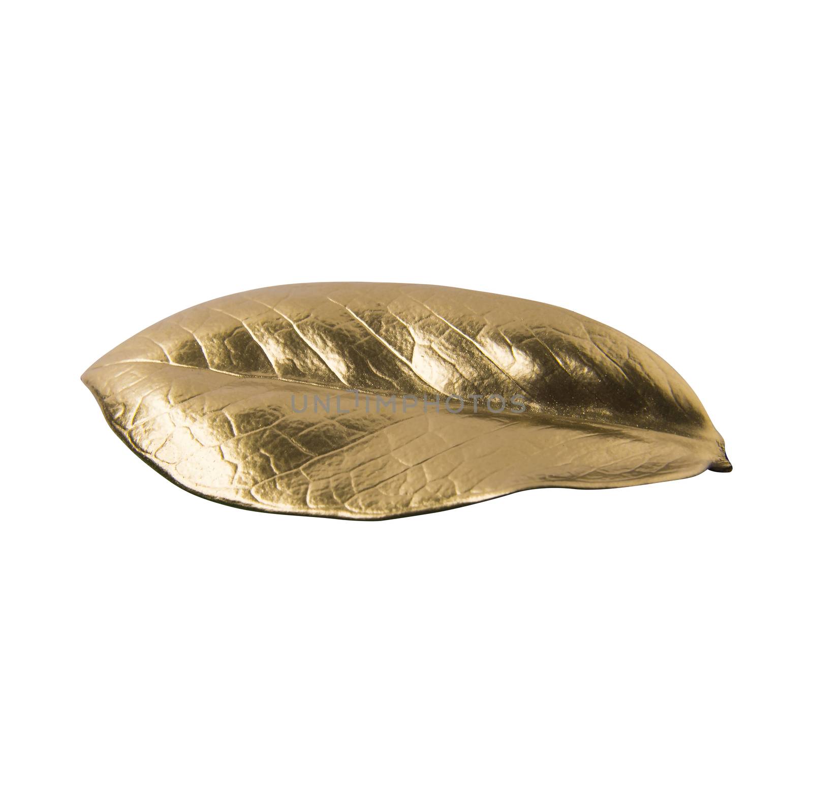 Gold leaf on white background. Decorative element