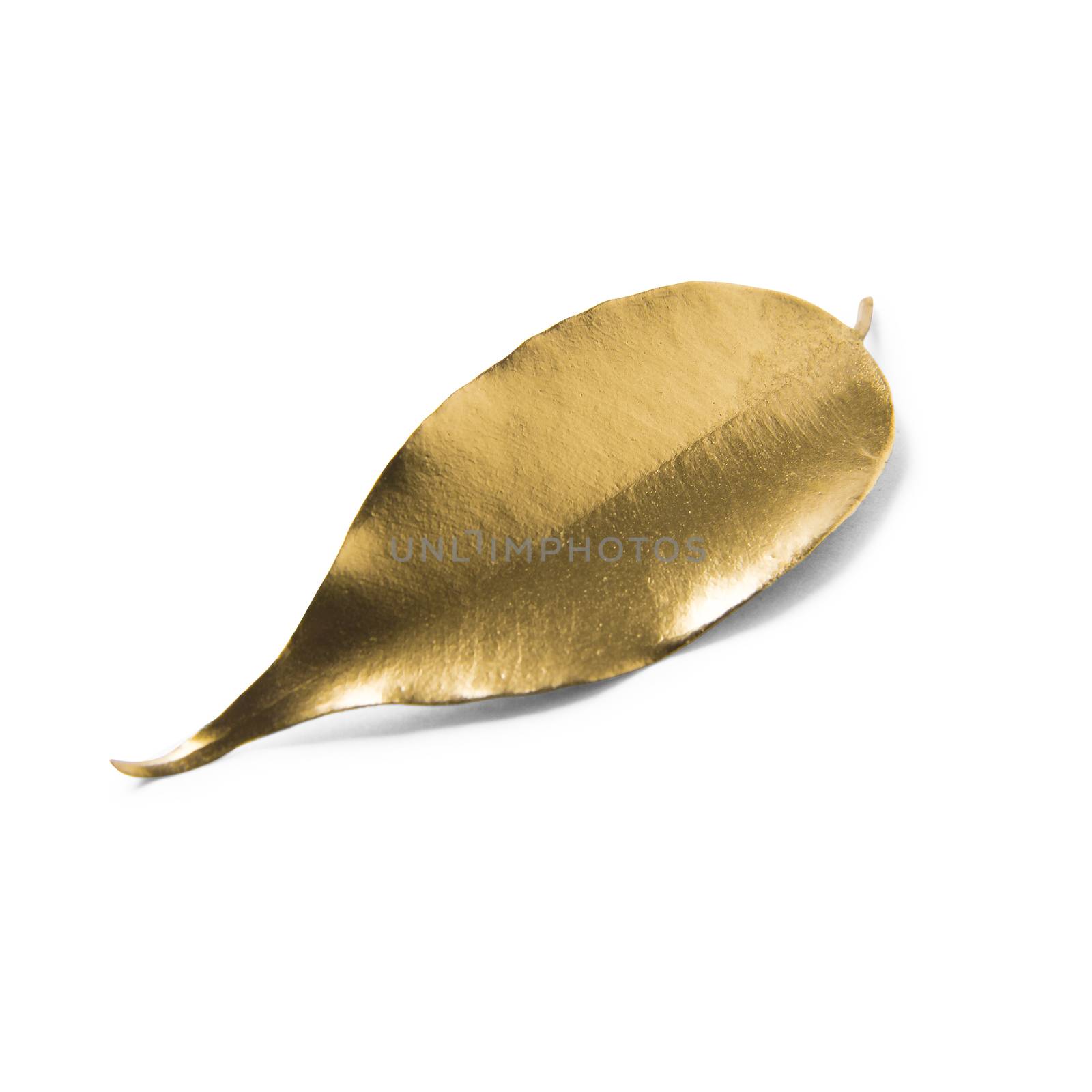 Gold leaf on white background by butenkow