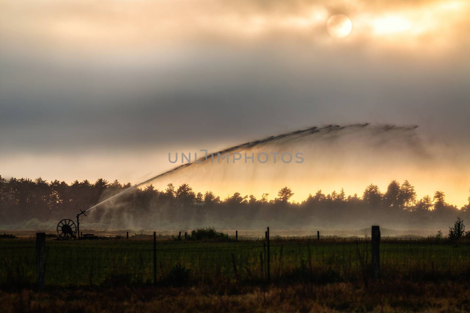 A Sprinkler in a Pasture watering crops on a Farm in Arcata, California by backyard_photography