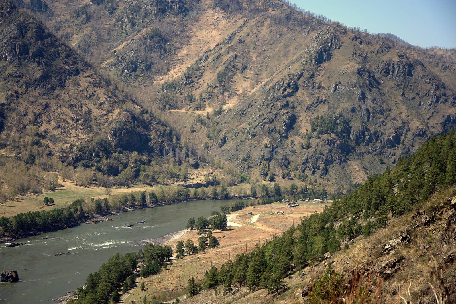 A stormy river flowing through a valley. Katun, Altai, Siberia, Russia