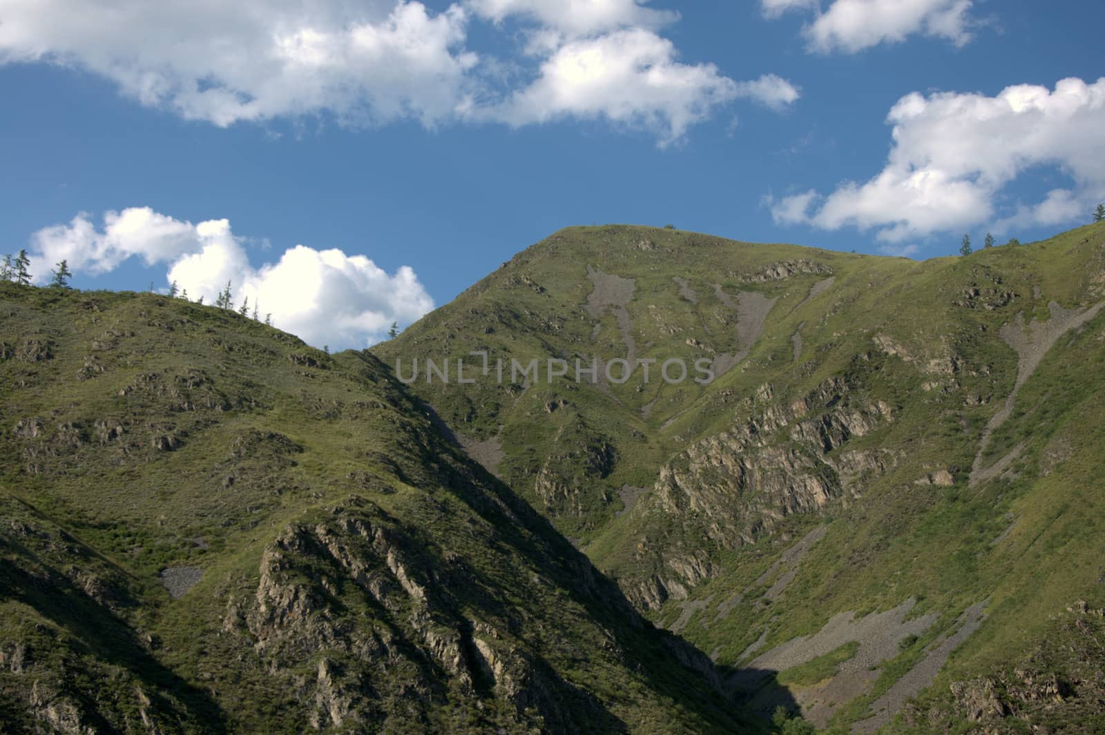 Picturesque hills overgrown with grass, forming a valley. Altai, Siberia, Russia