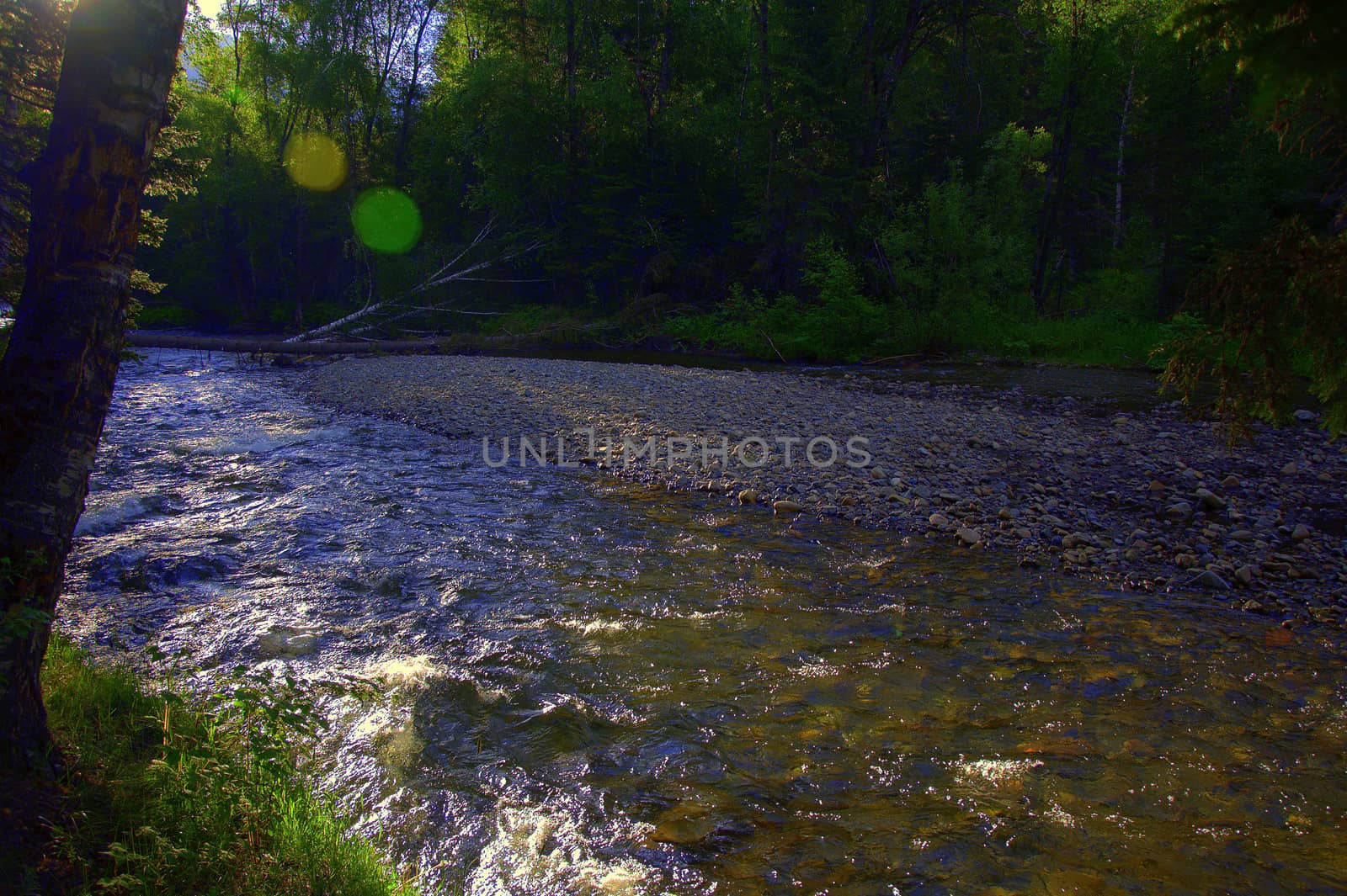 Morning shot of a stormy river flowing through the forest. Sema, Altai, Siberia, Russia