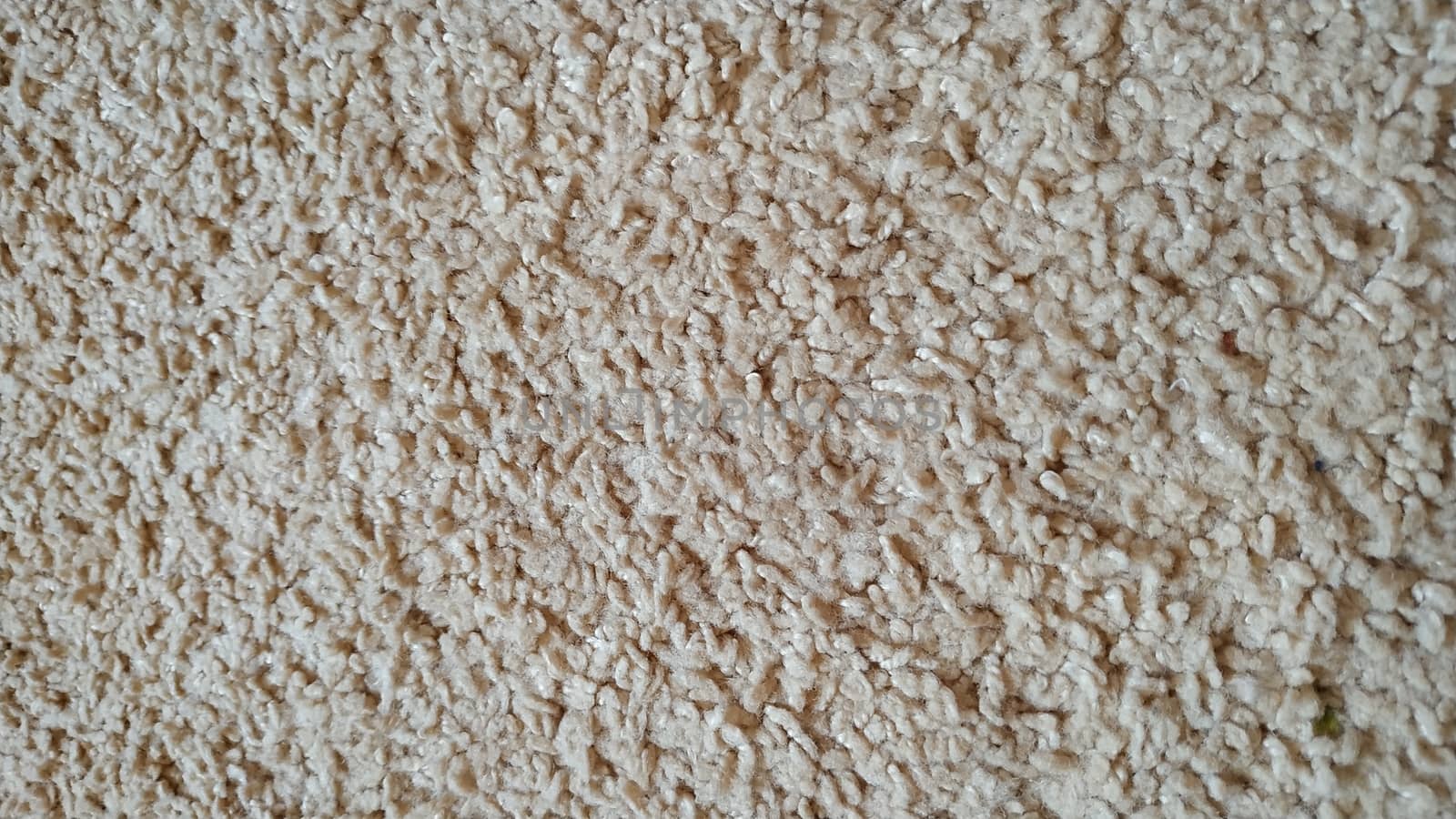 Fragment of natural wool beige. Background, texture