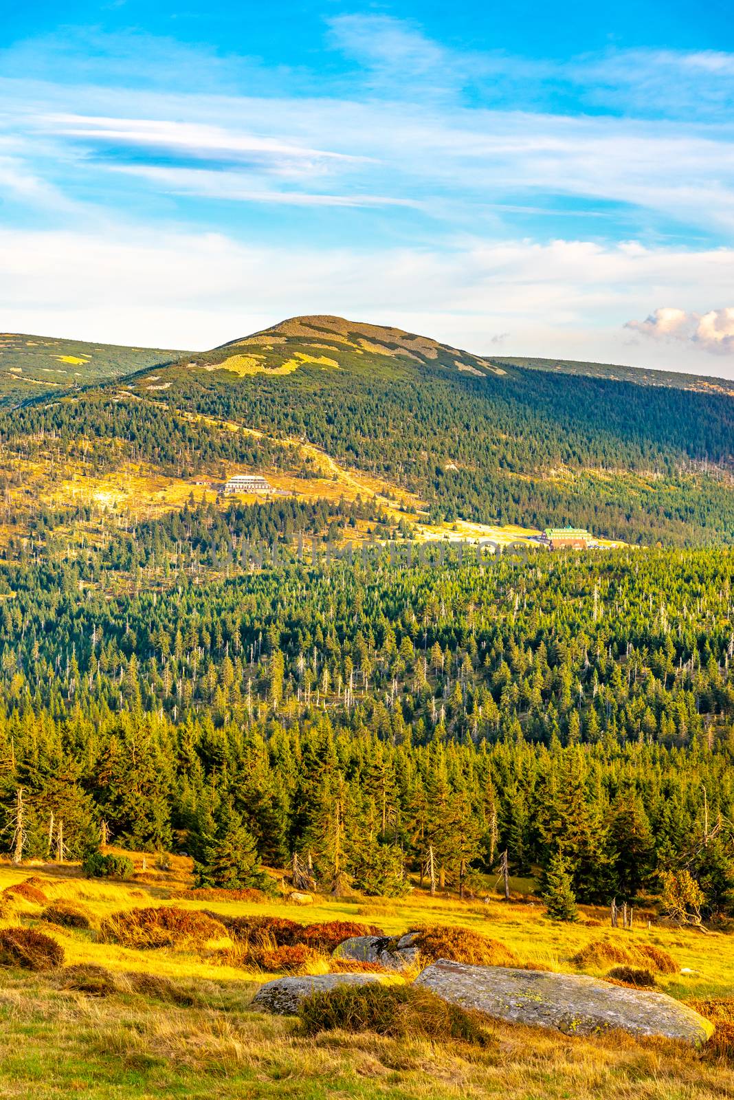 Green forest landscape with Maly Sisak Mountain and mountain huts, Giant Mountains, Krkonose, Czech Republic by pyty