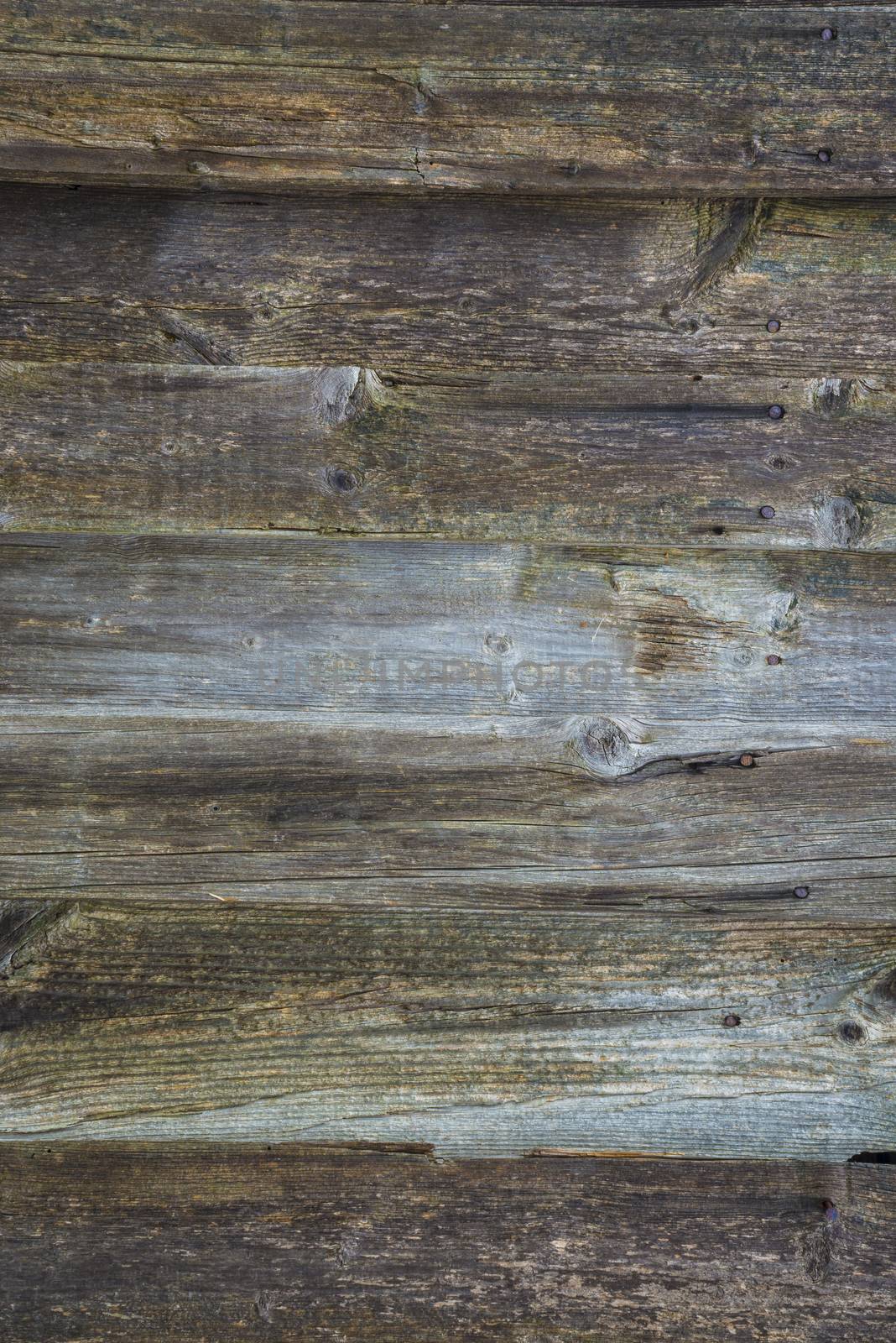 old, grunge wood panels used as background