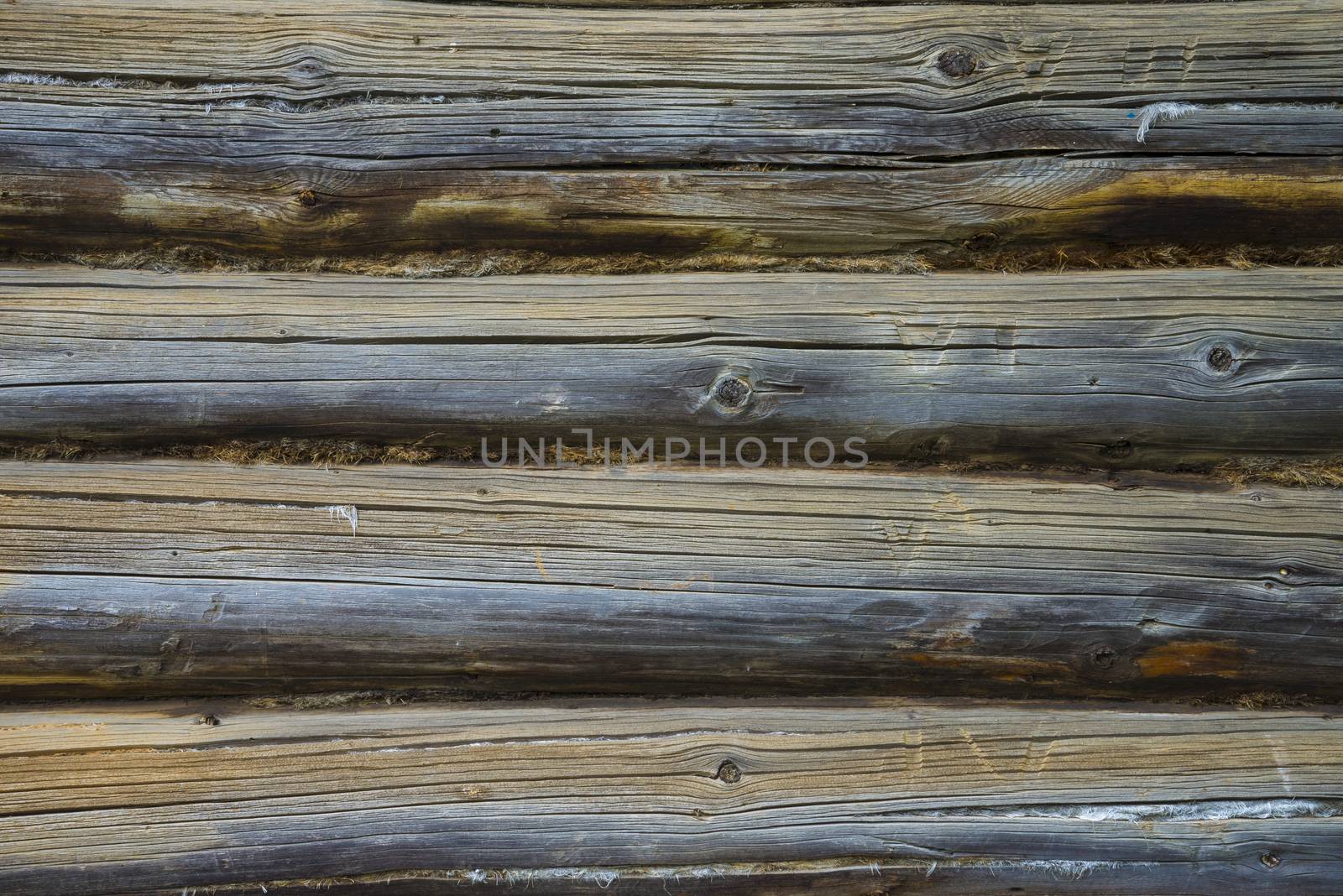 old, grunge wood panels used as background