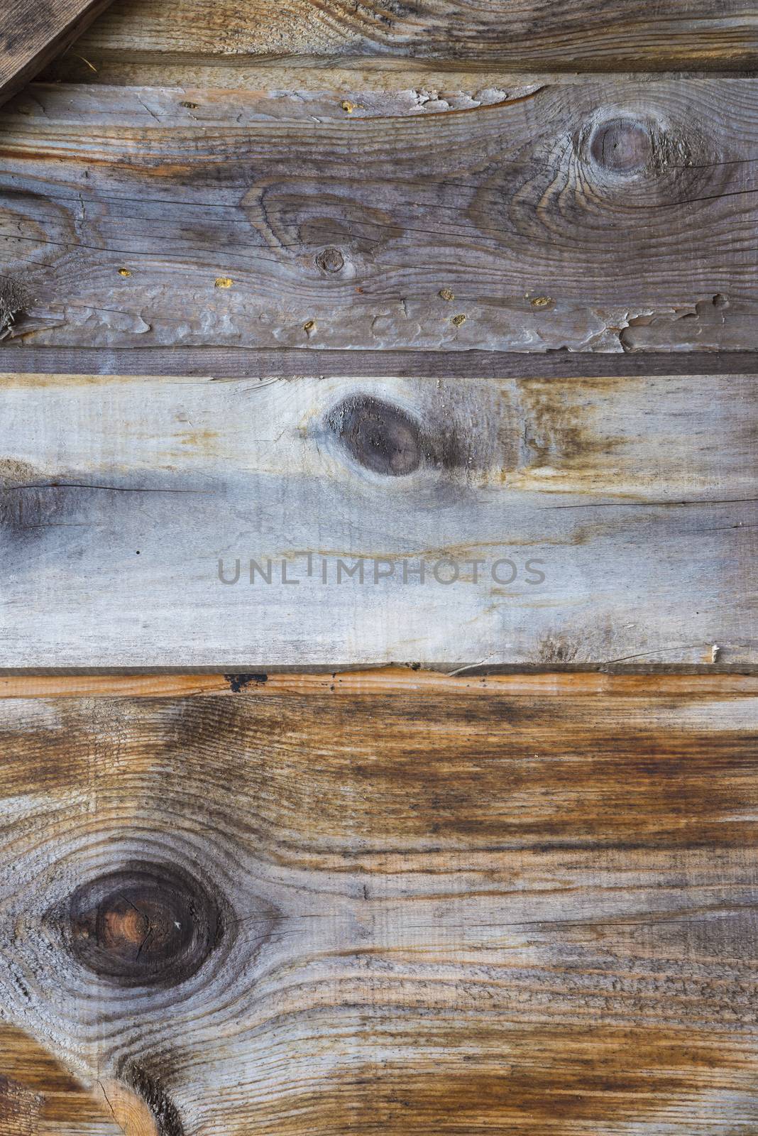 old, grunge wood panels used as background