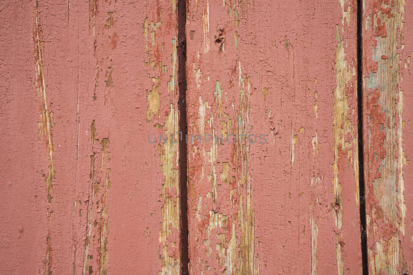 old, grunge wood panels used as background
