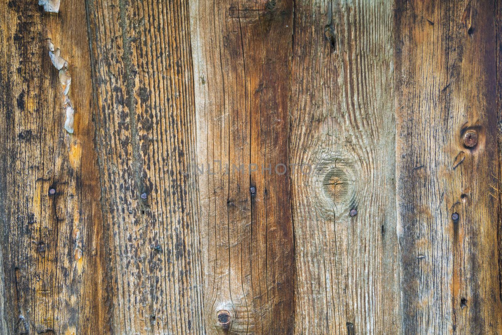 old, grunge wood panels used as background