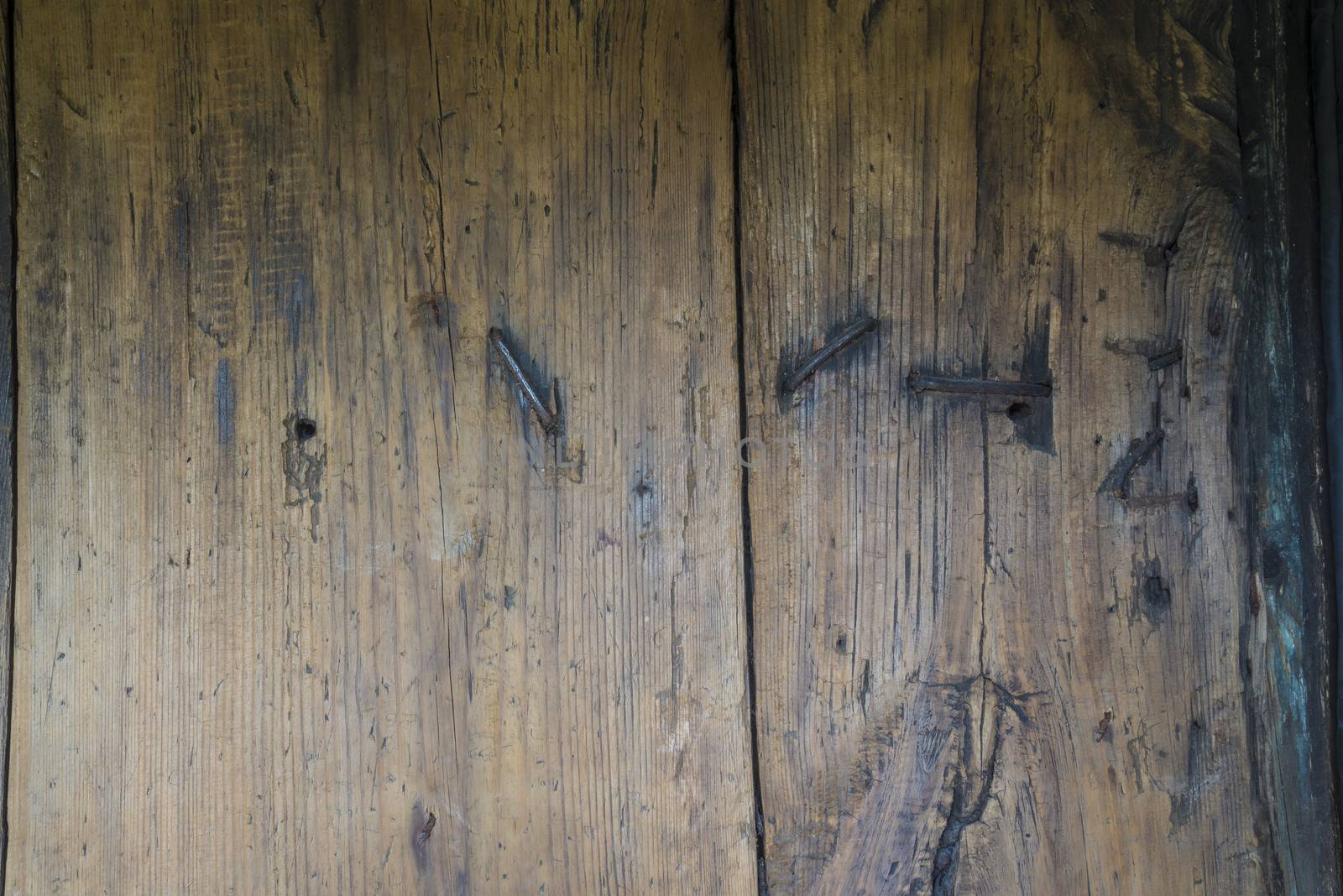 old, grunge wood panels used as background