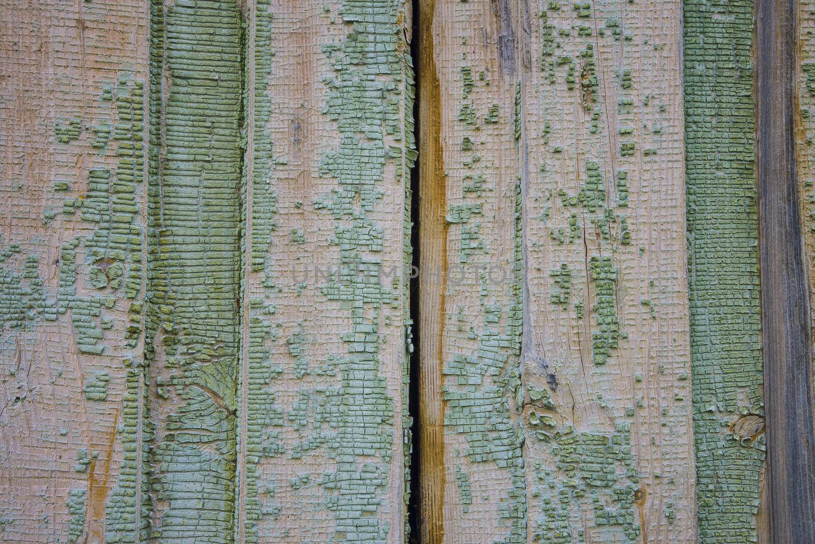 old, grunge wood panels used as background