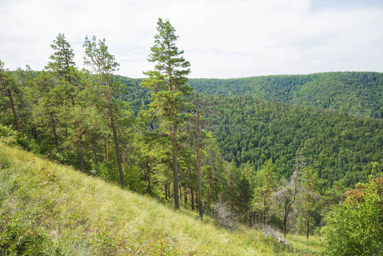 Strelnaya Mountain. Attraction of the Samara region. On a Sunny summer day