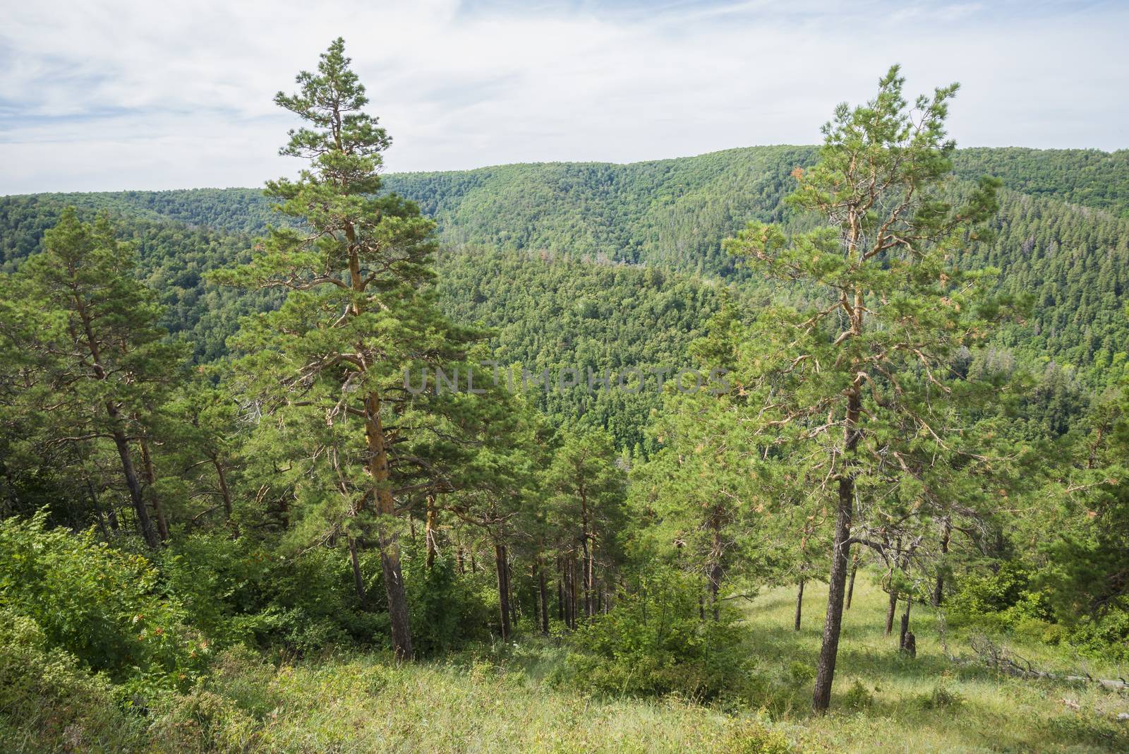 Strelnaya Mountain. Attraction of the Samara region. On a Sunny summer day