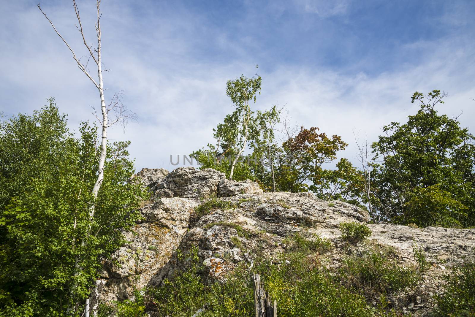 Strelnaya Mountain. Attraction of the Samara region. On a Sunny summer day