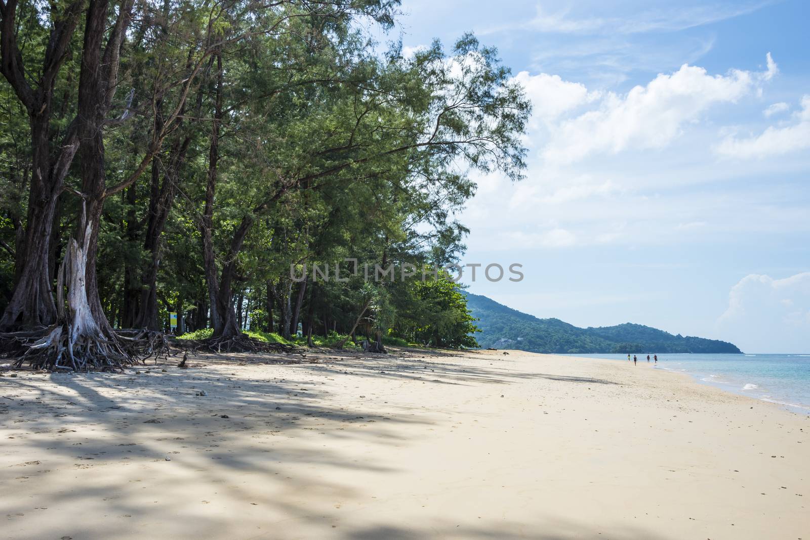 Coast of Sirinat National Park. Sunny day 21 December 2018.