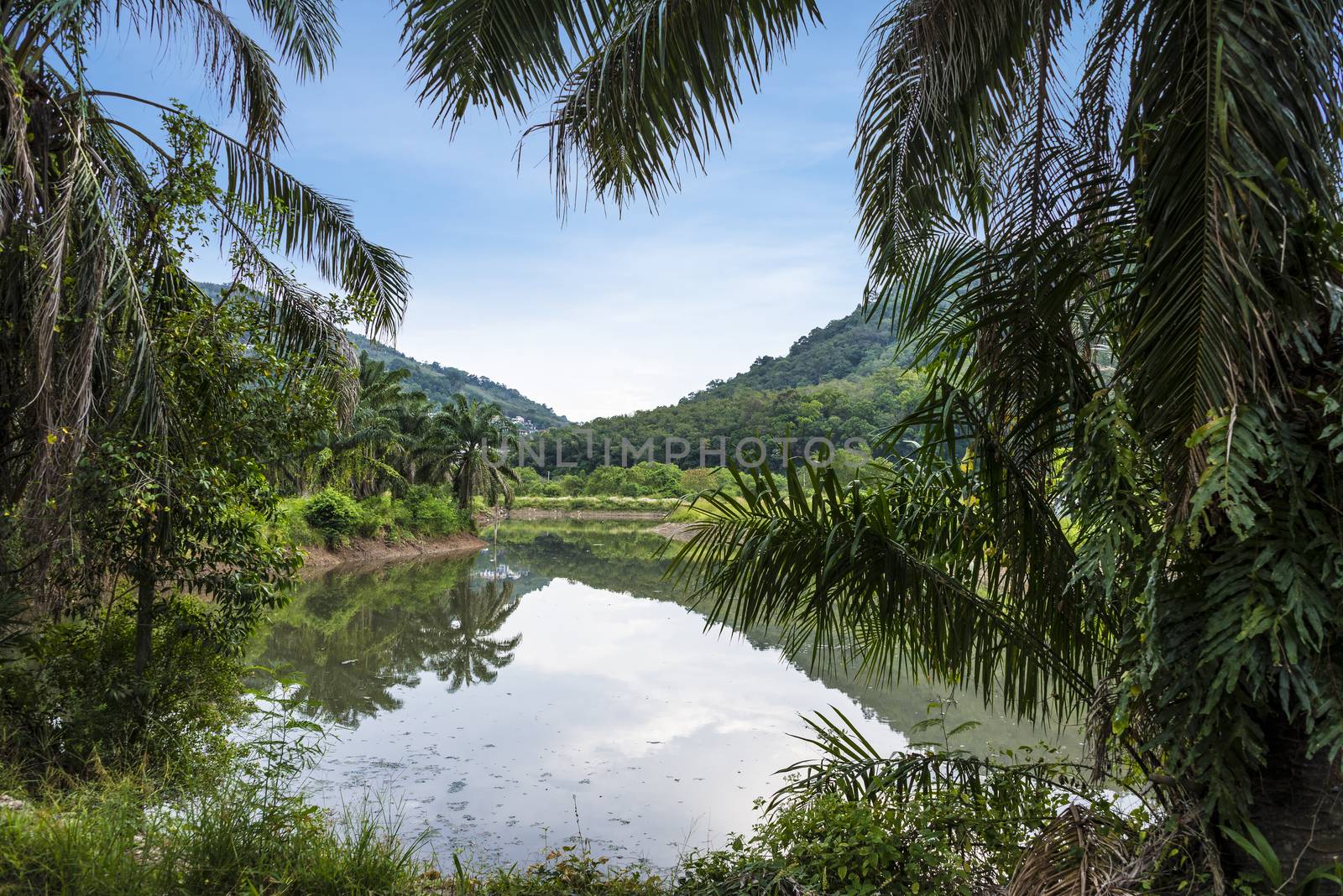 The landscape of the island of Phuket Thailand. Day 15 December 2018.