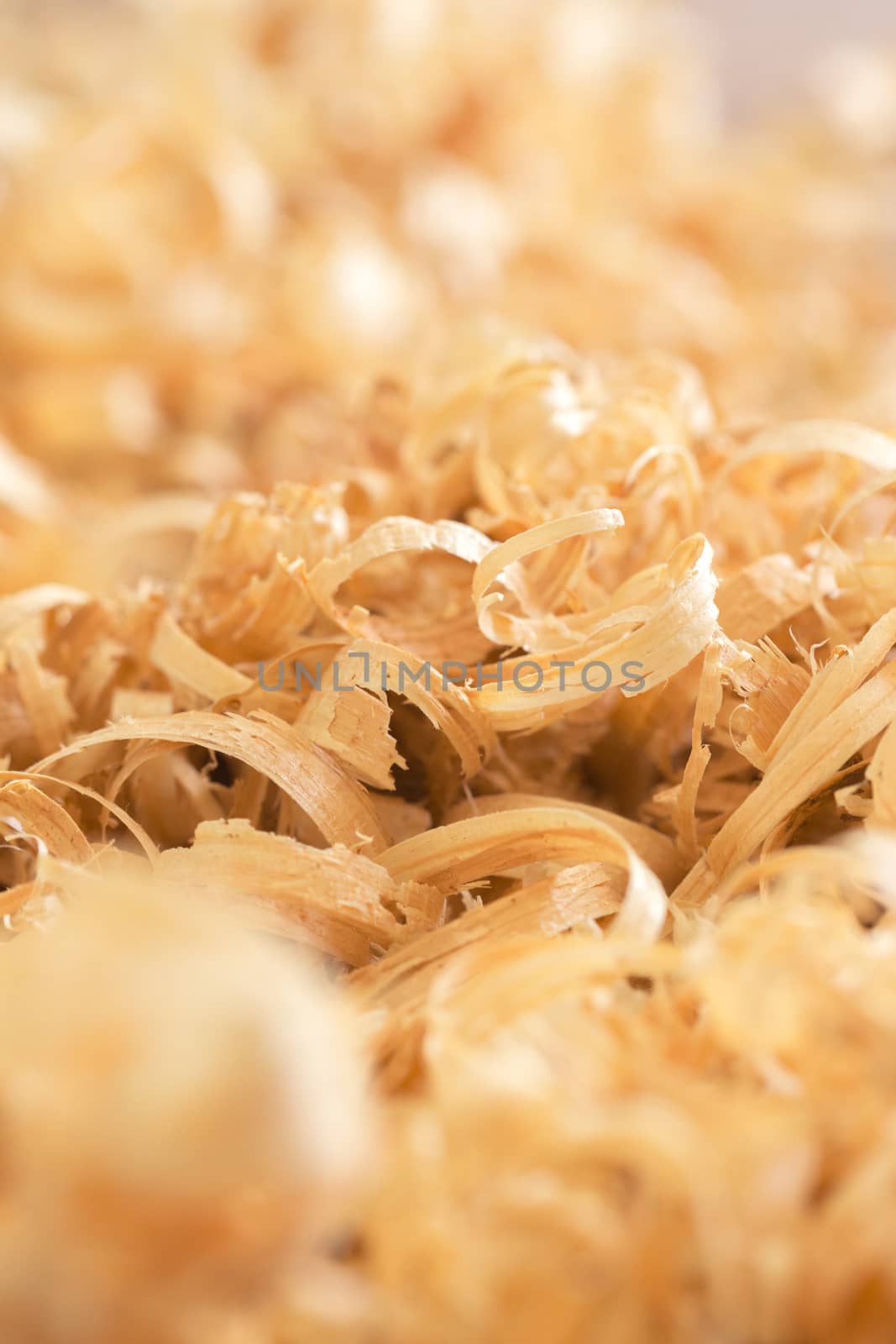 Close up view on wood shavings.