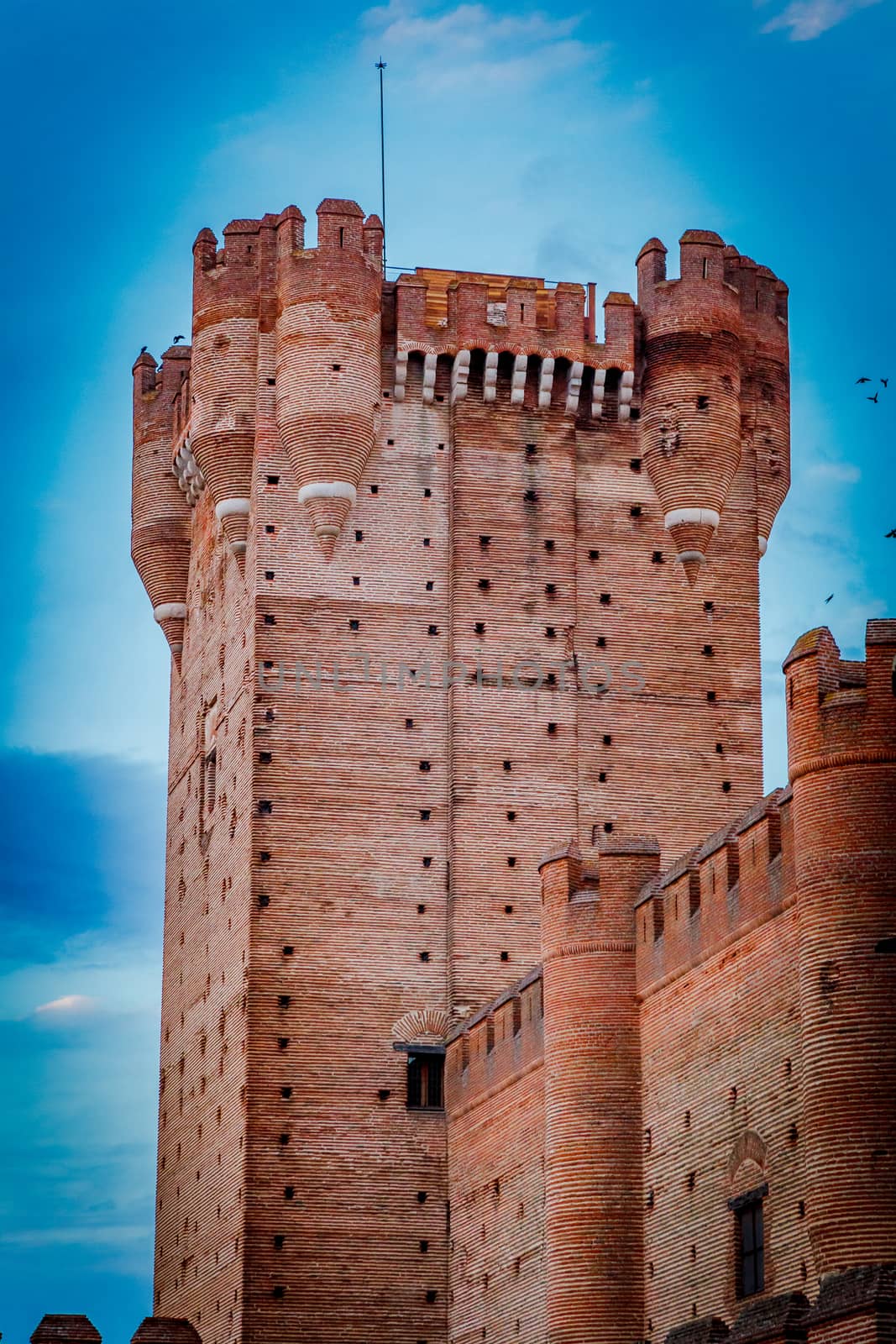 Castle of the Mota - famous old castle in Medina del Campo, Valladolid ,Castilla y Leon, Spain