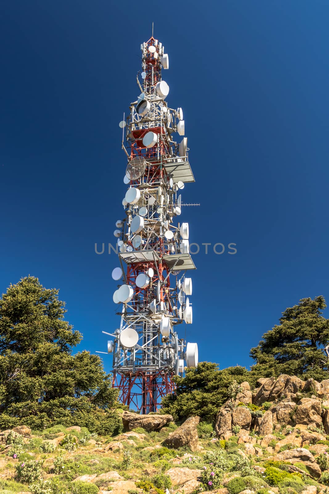 Communications Tower by viledevil