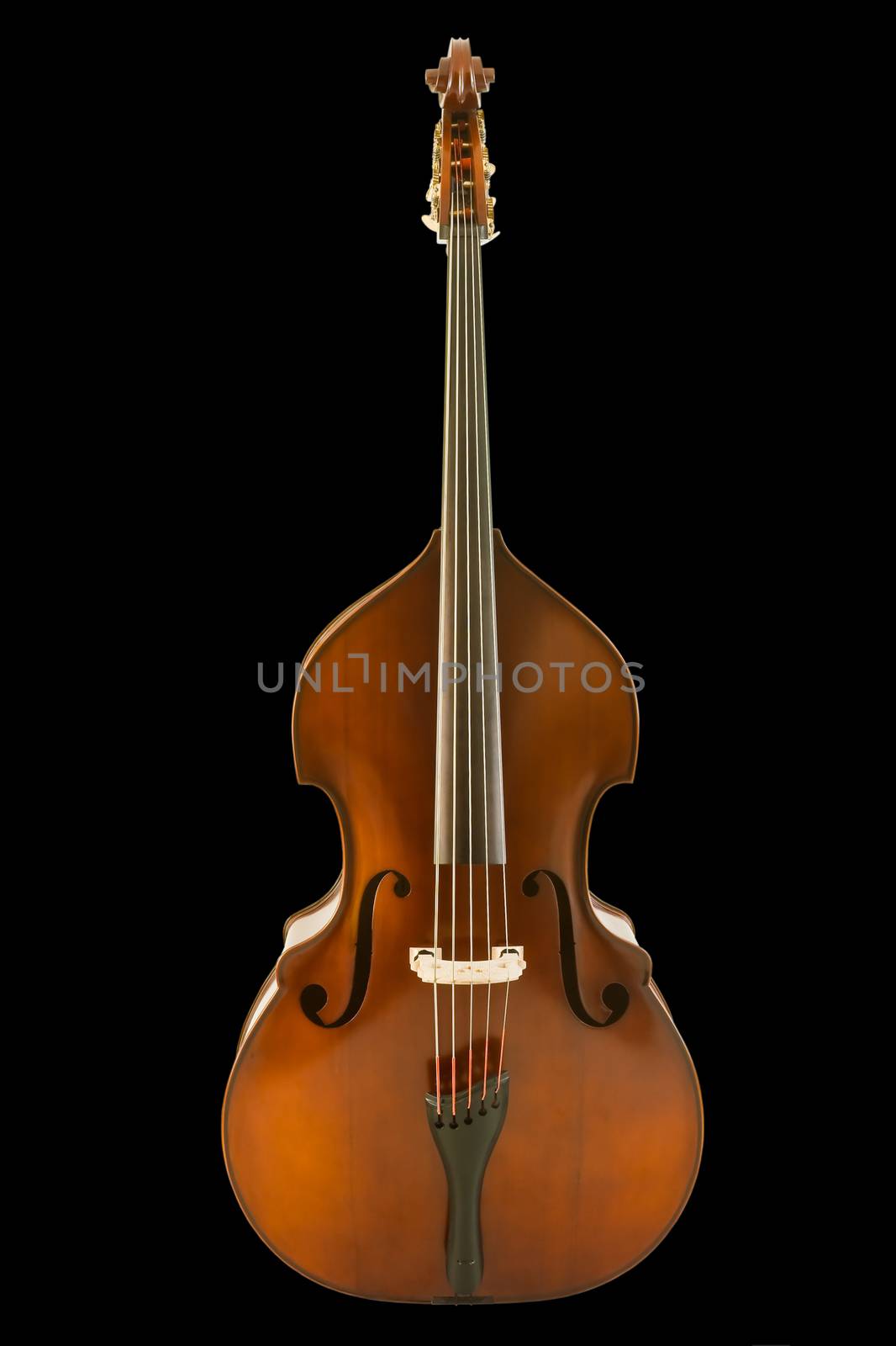 Vintage viola isolated on black background, clipping path.