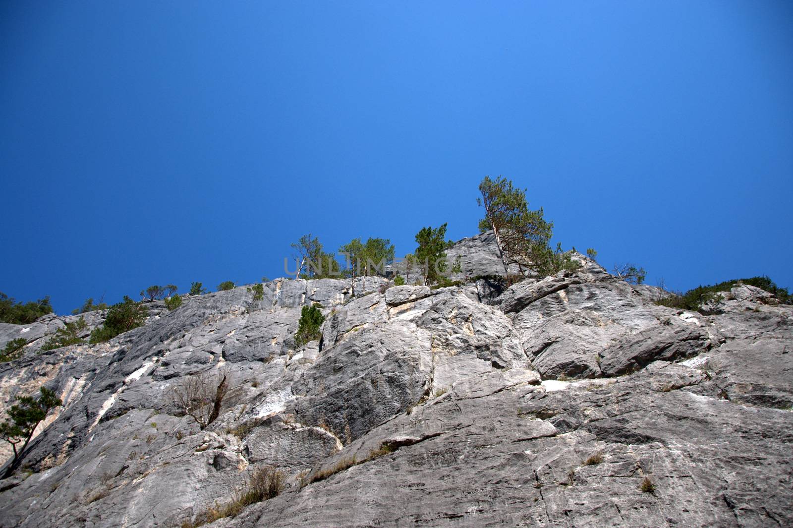 A high sheer mountain with lonely trees on top against a clear blue sky. Altai, Siberia, Russia.