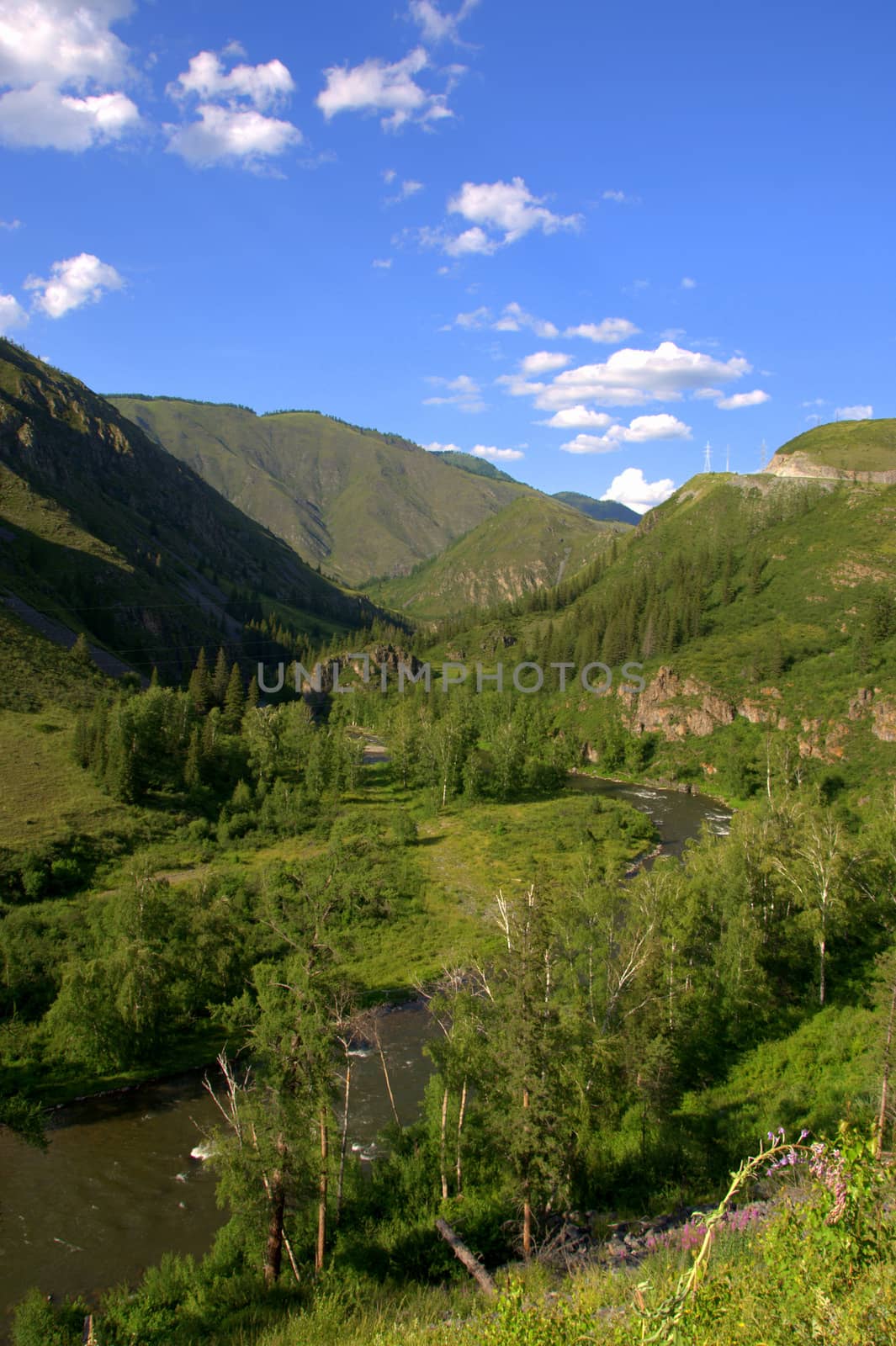 A picturesque valley with a river flowing through it, surrounded by fields and coniferous forests. Altai, Siberia, Russia.