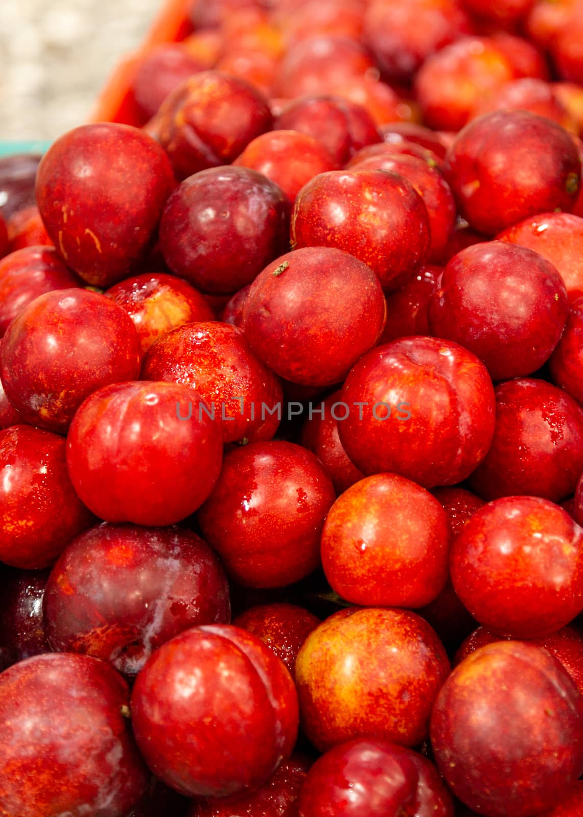 Box of fresh red plums, closeup