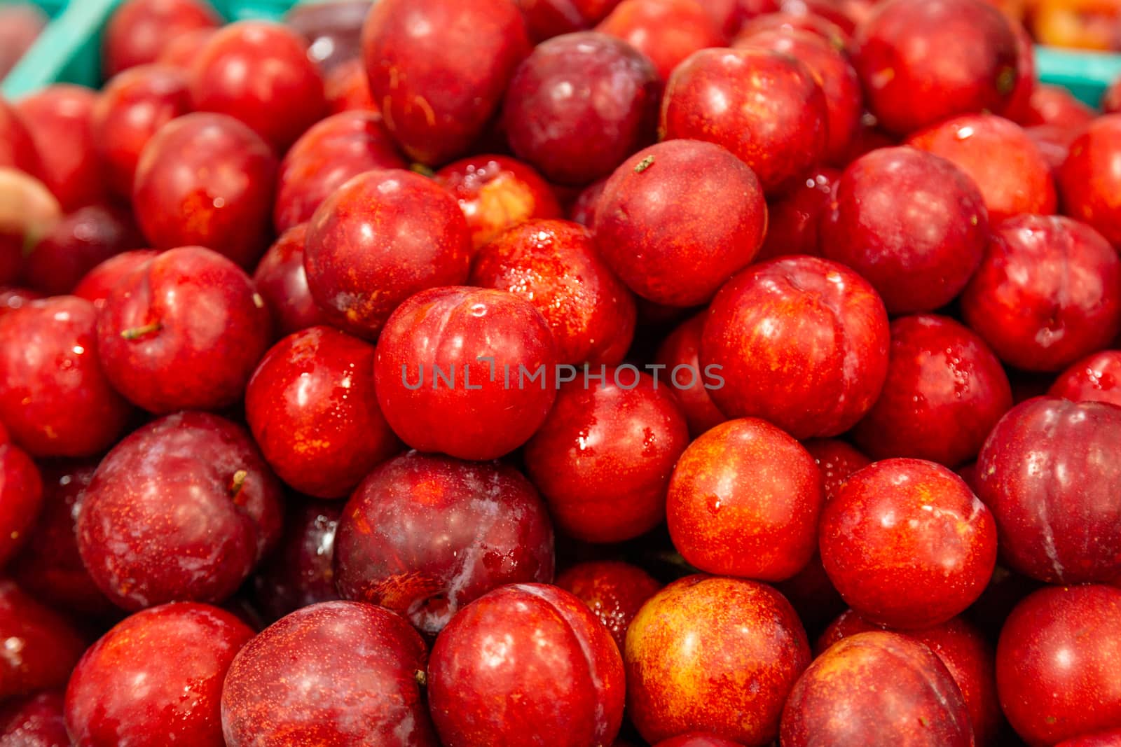 Box of fresh red plums, closeup