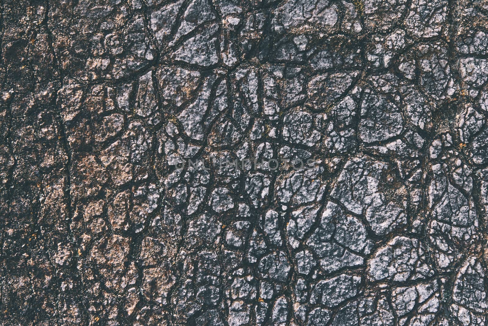 Stone background texture pattern