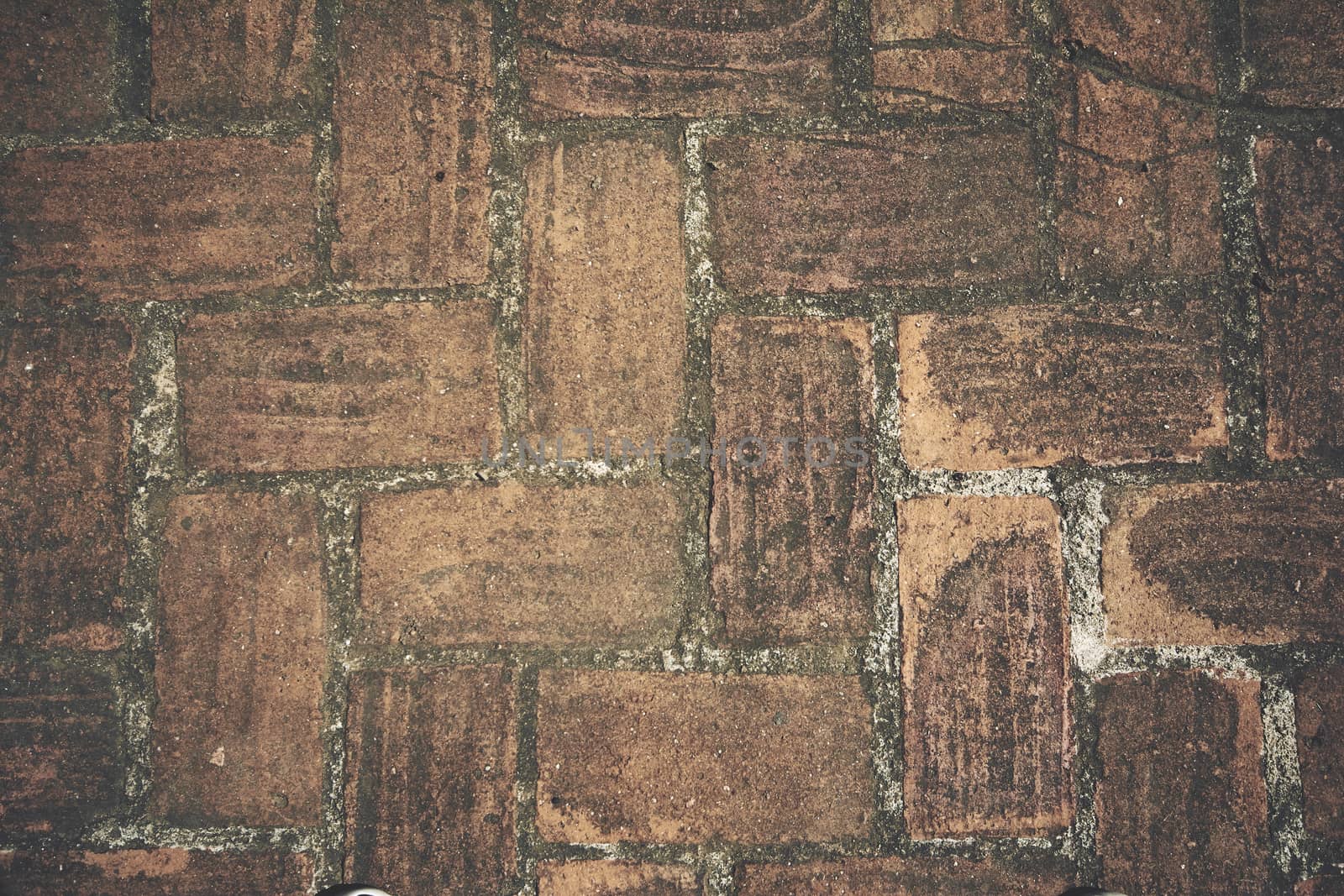 Brick and grass pattern by arcas