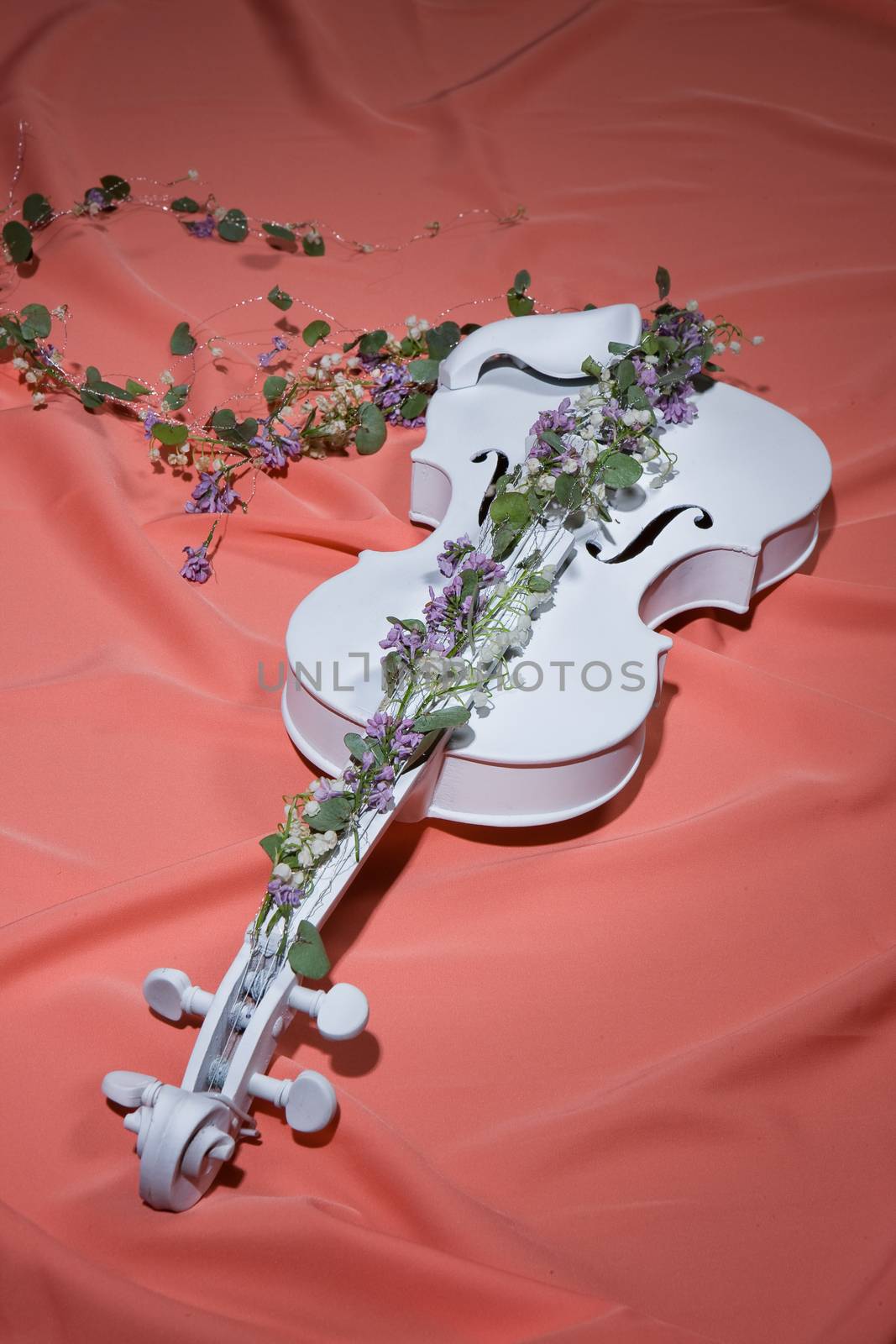 Violin And Flowers by Fotoskat