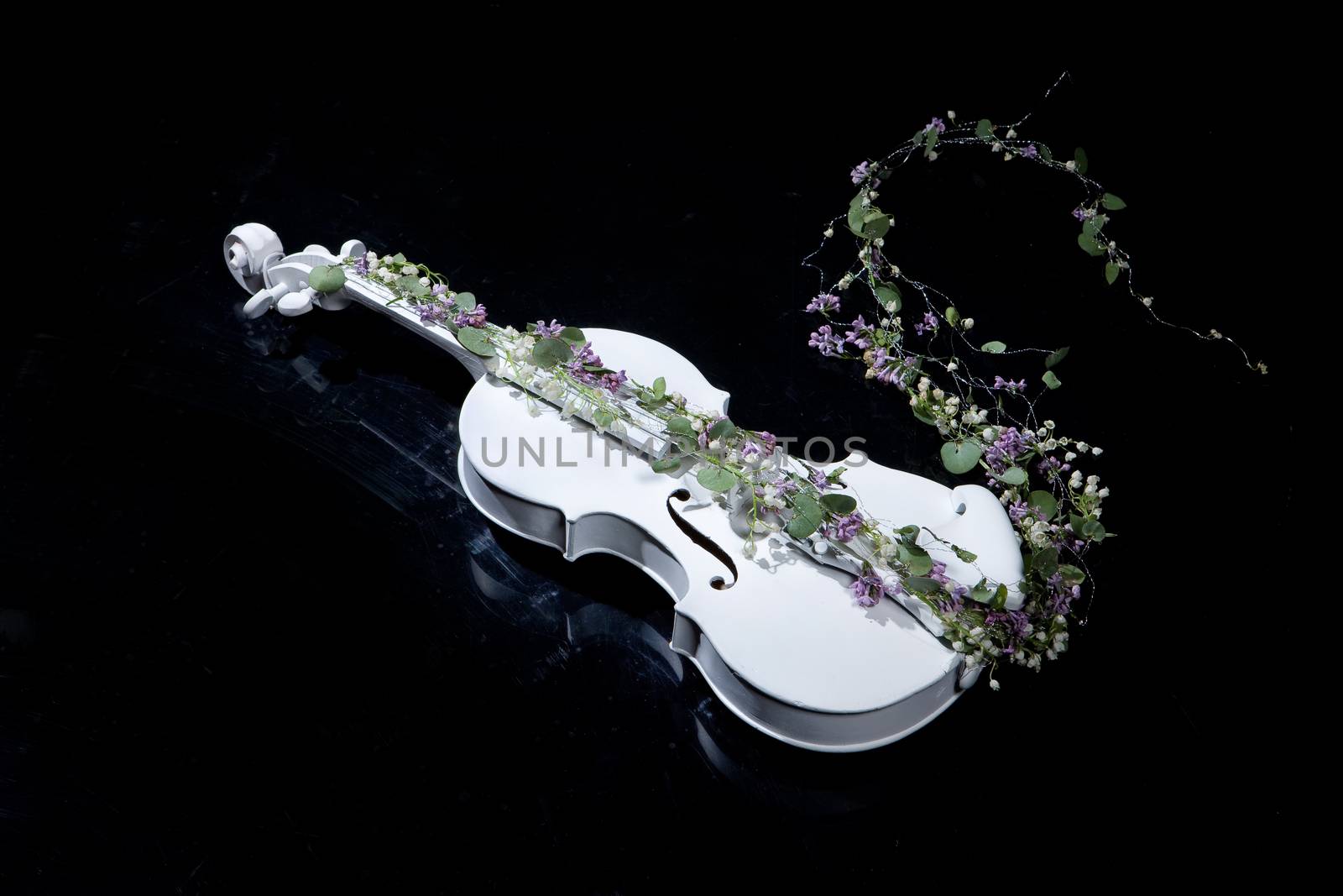 Violin And Flowers by Fotoskat