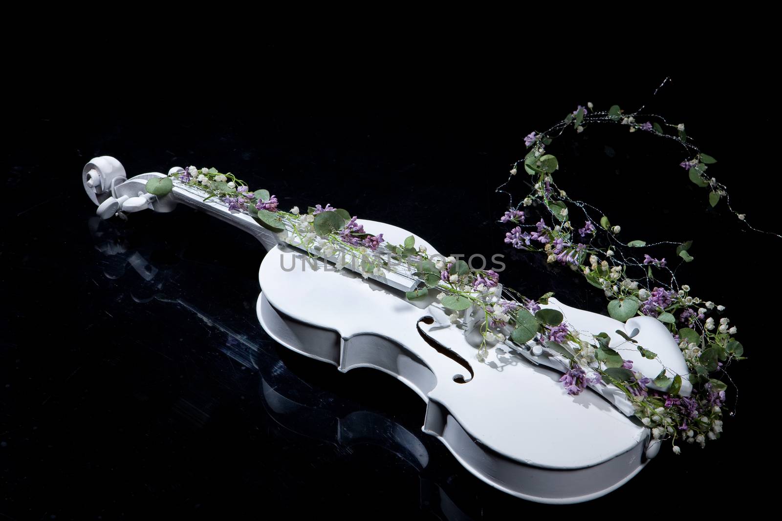 Violin And Flowers by Fotoskat