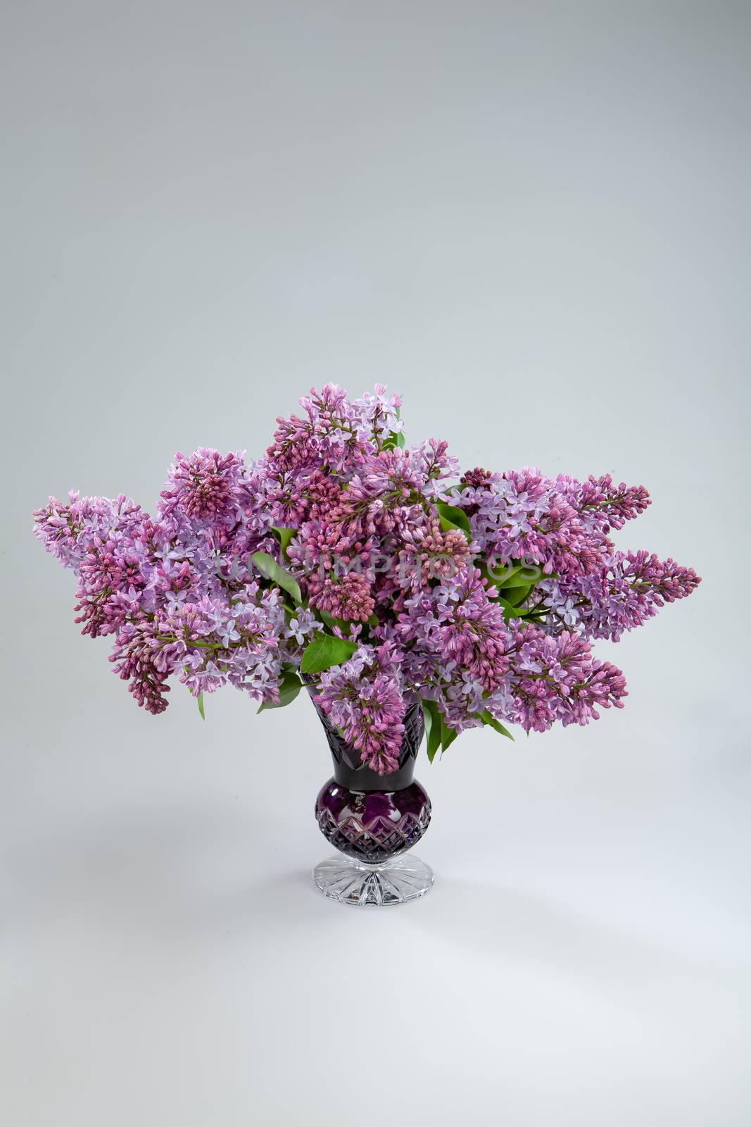 Bouquet with flowers on a studio background