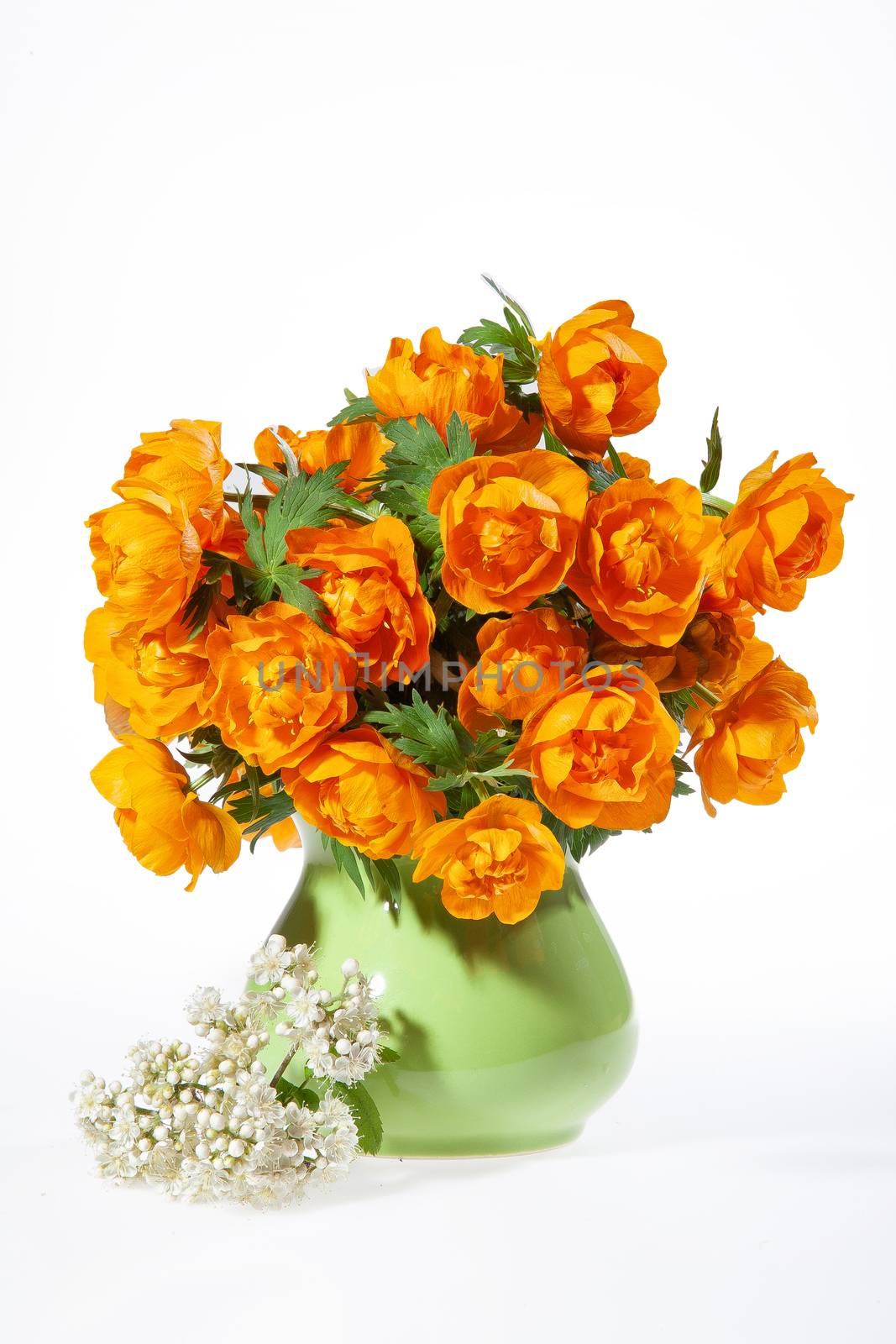Bouquet with flowers on a studio background