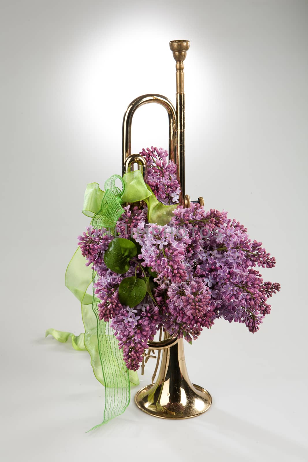Still life with flowers on a studio background