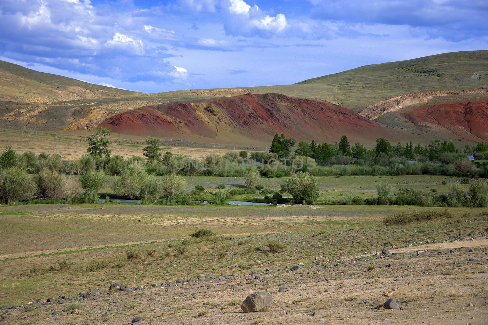 Rare bushes on a meager pasture at the foot of the red mountains. Martian landscapes of the tract Chagan-Uzun, Altai, Siberia, Russia.