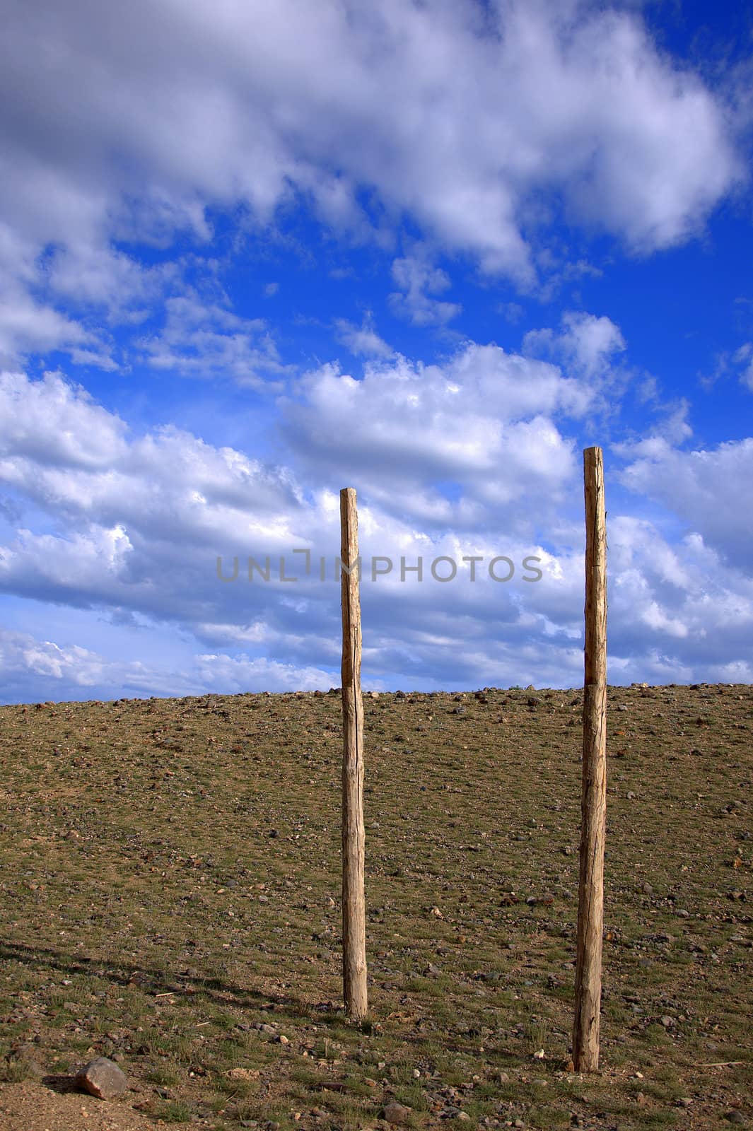 Wooden poles for harnessing horses among the steppe. Kurai steppe, Altai, Siberia, Russia.