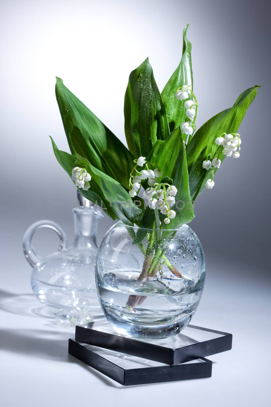Lily of the valley in the glass vase