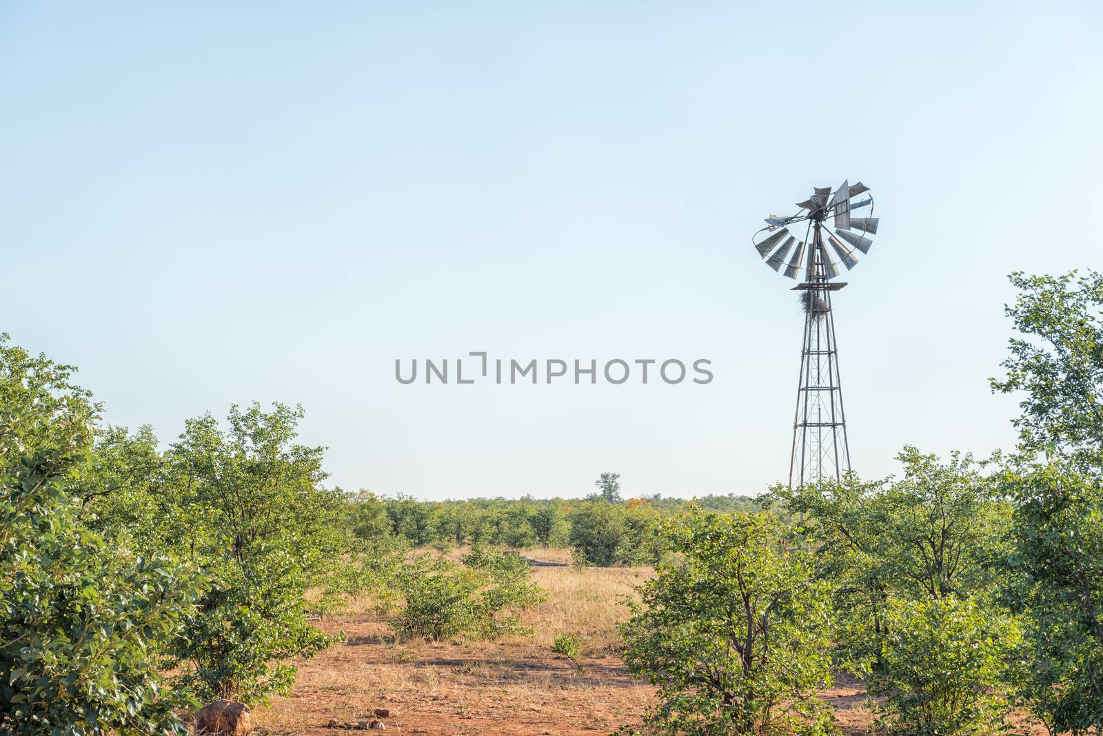 Landscape with a broken windmill. A bird nest is visible on the windmill